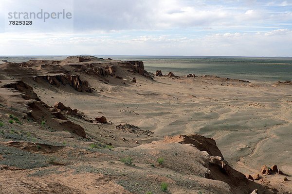 Bayanzag  Gobi desert  Mongolia                                                                                                                                                                     