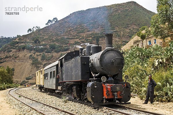 Eritrean railways  From Asmara to Massawa  Eritrea                                                                                                                                                  