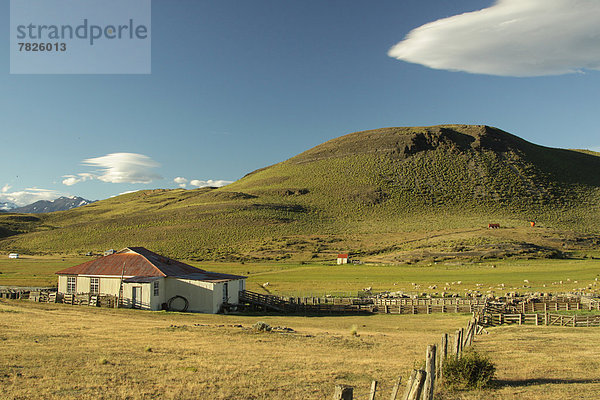 Landschaft  Landwirtschaft  Bauernhof  Hof  Höfe  Torres del Paine Nationalpark  Chile  Patagonien  Ranch  Südamerika