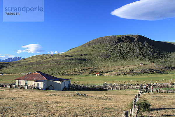 Landschaft  Landwirtschaft  Bauernhof  Hof  Höfe  Torres del Paine Nationalpark  Chile  Patagonien  Ranch  Südamerika