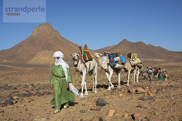 Nordafrika  Dromedar  Einhöckriges  Arabisches Kamel  Camelus dromedarius  Karawane  Berg  fahren  Wüste  Sahara  Afrika  Algerien  Kamel  Campingwagen  mitfahren  Tuareg