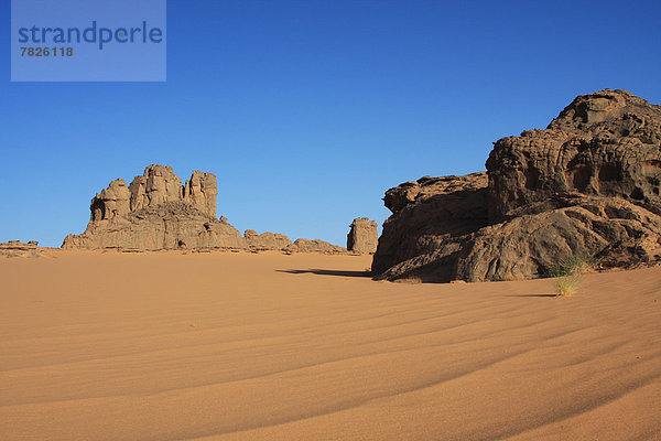 Nordafrika  Felsformation  Felsbrocken  Morgen  Wüste  Natur  Sand  Sahara  Morgendämmerung  Afrika  Algerien