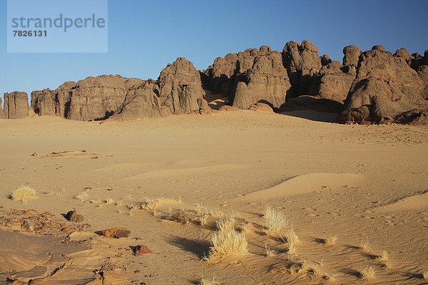 Nordafrika  Felsformation  Felsbrocken  Botanik  Wüste  Natur  Sand  Sahara  Afrika  Algerien