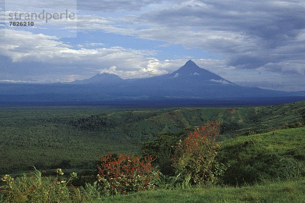 Afrika  Uganda