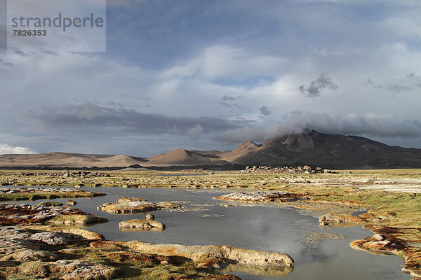 Nationalpark  Berg  Botanik  Landschaft  Natur  Anden  Chile  Lagune  Südamerika
