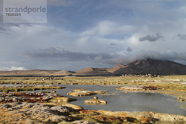Nationalpark  Berg  Botanik  Landschaft  Natur  Anden  Chile  Lagune  Südamerika