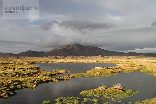 Nationalpark  Berg  Botanik  Landschaft  Natur  Anden  Chile  Lagune  Südamerika