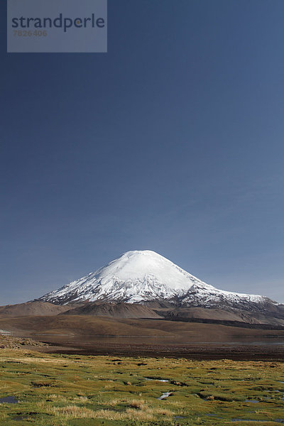 Nationalpark  Botanik  Landschaft  See  Natur  Vulkan  Anden  Chile  Lagune  Südamerika