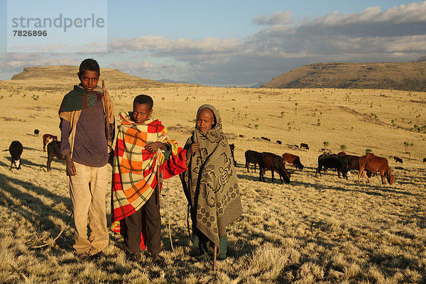 frontal  Gebirge  Nationalpark  Portrait  Berg  Junge - Person  Abend  Landschaft  Abenddämmerung  UNESCO-Welterbe  Semien  Afrika  Äthiopien  Highlands  Gebirgszug  Schafhirte  trekking