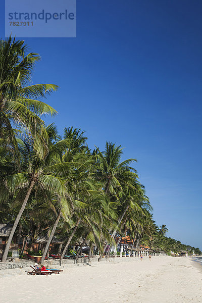 Palme  Strand  Küste  Meer  Asien  Mui Ne  Vietnam