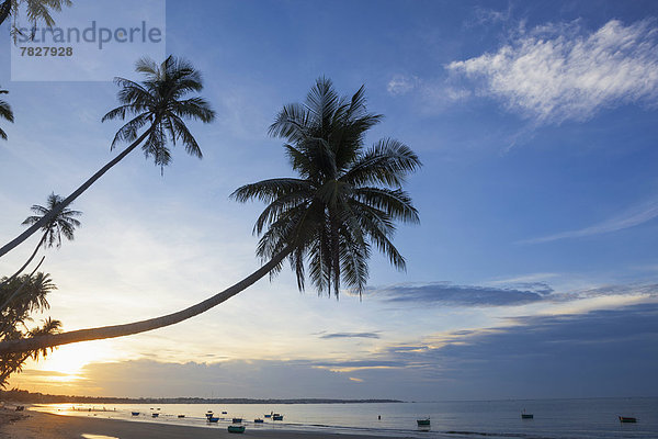 Palme  Strand  Silhouette  Küste  Sonnenaufgang  Morgendämmerung  Meer  ernst  Asien  Mui Ne  Vietnam