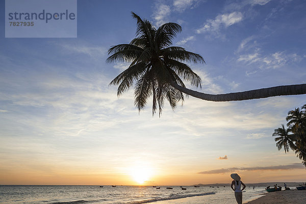 Palme  Strand  Sonnenuntergang  Silhouette  Küste  Meer  ernst  Asien  Abenddämmerung  Mui Ne  Vietnam