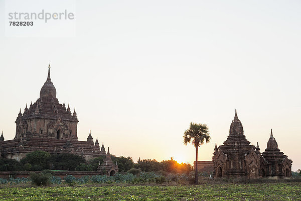 Morgendämmerung  Myanmar  Tempel  Asien
