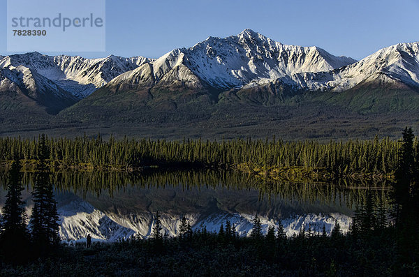 Landschaft  Spiegelung  Wald  See  Kanada  Yukon