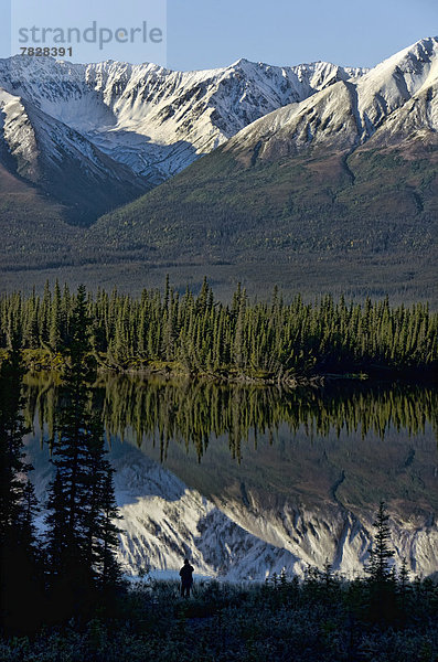 Landschaft  Spiegelung  Wald  See  Kanada  Yukon