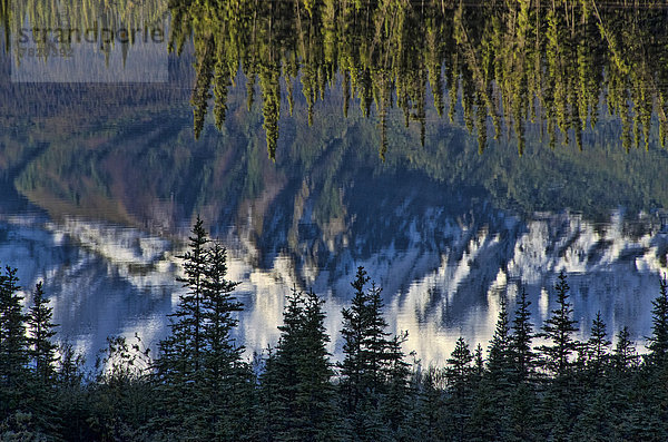 Landschaft  Spiegelung  Wald  See  Kanada  Yukon