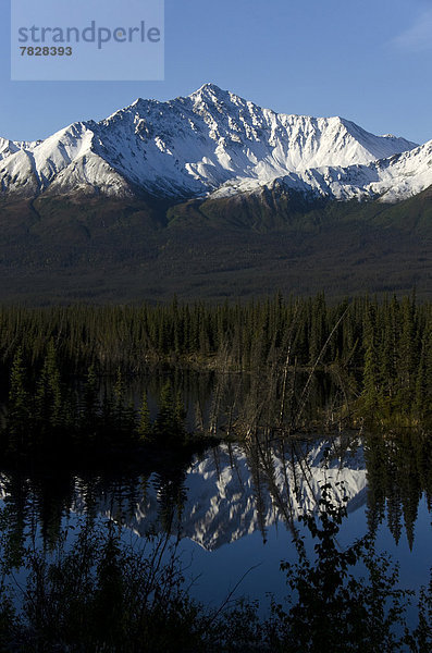 Landschaft  Spiegelung  Wald  See  Kanada  Yukon