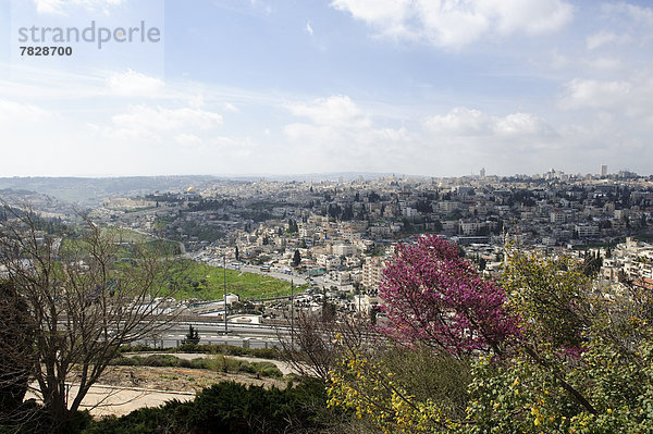 Jerusalem  Hauptstadt  Skyline  Skylines  Naher Osten  Draufsicht  Israel