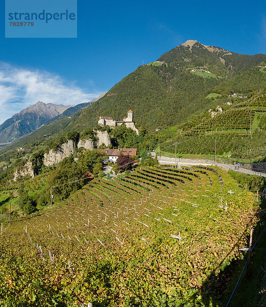 Trentino Südtirol  Europa  Berg  Palast  Schloß  Schlösser  Landschaft  Hügel  Dorf  Herbst  Tirol  Italien  Weinberg