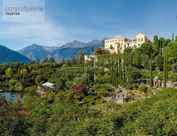 Trentino Südtirol  Europa  Berg  Blume  Palast  Schloß  Schlösser  Hügel  Garten  Herbst  Italien  Meran