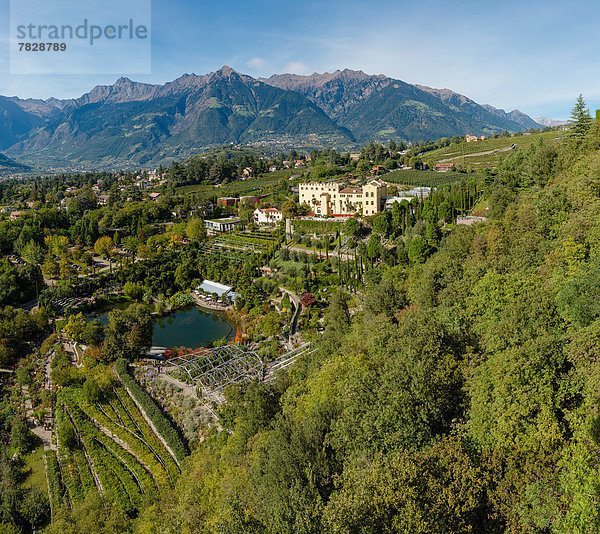 Trentino Südtirol  Europa  Berg  Blume  Palast  Schloß  Schlösser  Hügel  Garten  Herbst  Italien  Meran