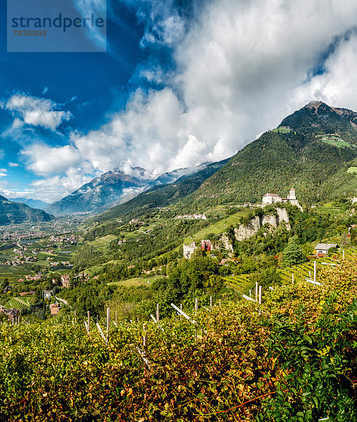 Trentino Südtirol  Europa  Berg  Palast  Schloß  Schlösser  Landschaft  Hügel  Dorf  Herbst  Tirol  Italien  Weinberg