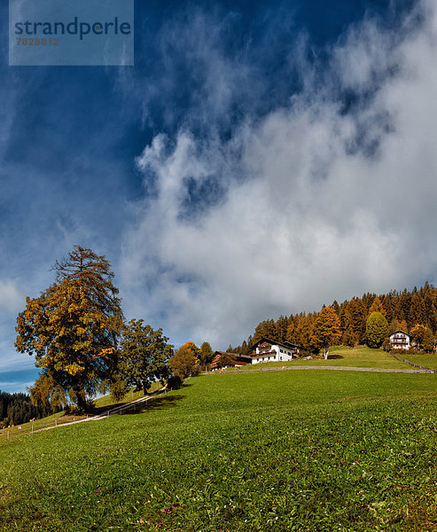 Bauernhaus Trentino Südtirol Europa Berg Wohnhaus Baum gelb Hügel Feld Herbst Wiese Italien