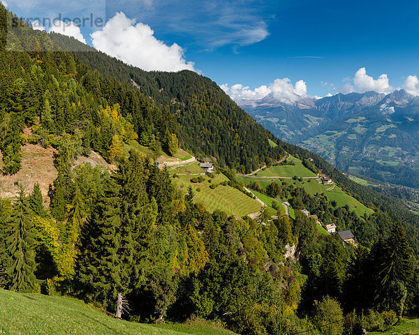 Trentino Südtirol  Europa  Berg  Baum  Landschaft  Hügel  Dorf  Feld  Herbst  Wiese  verteilen  Bauernhof  Hof  Höfe  Tirol  Italien