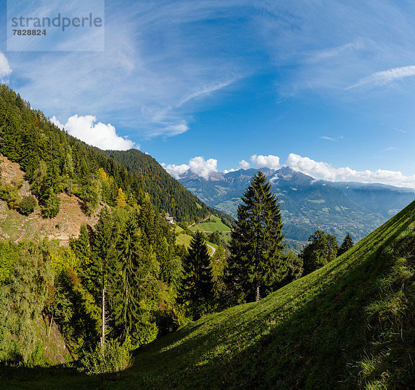 Trentino Südtirol  Europa  Berg  Baum  Landschaft  Hügel  Dorf  Feld  Herbst  Wiese  verteilen  Bauernhof  Hof  Höfe  Tirol  Italien