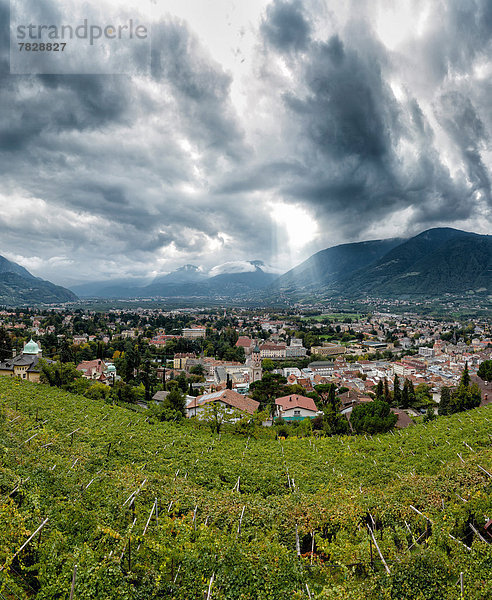 Trentino Südtirol  Europa  Berg  Wolke  Hügel  Großstadt  Dorf  Herbst  Draufsicht  Italien  Meran
