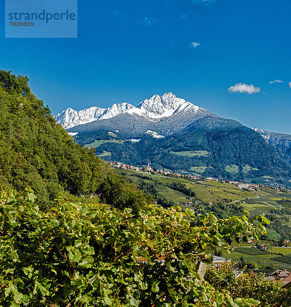 Trentino Südtirol  Europa  Berg  Landschaft  Hügel  Dorf  Herbst  Ansicht  Tirol  Italien