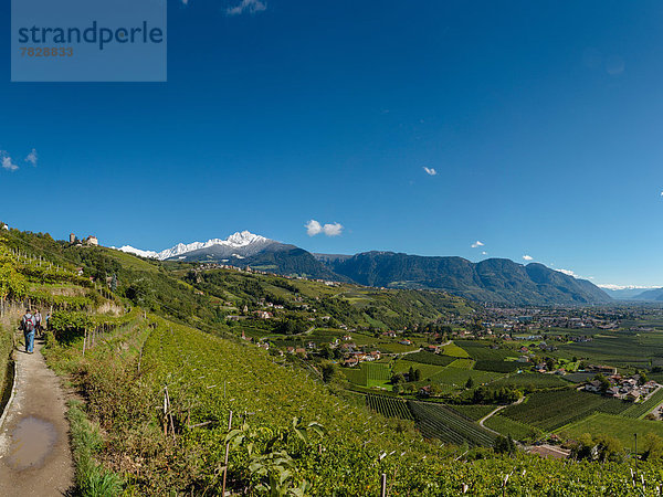 Trentino Südtirol  Europa  Berg  Mensch  Menschen  Landschaft  Hügel  Dorf  Herbst  Ansicht  Tirol  Italien  Weinberg