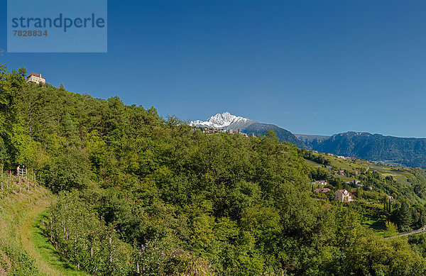 Trentino Südtirol Europa Berg Mensch Menschen Baum Landschaft Hügel Wald Dorf Holz Herbst Ansicht Tirol Italien