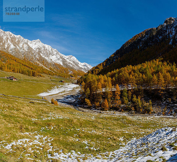 Trentino Südtirol  Europa  Berg  Landschaft  Hügel  Feld  Herbst  Wiese  verteilen  Bauernhof  Hof  Höfe  Italien  Schnee