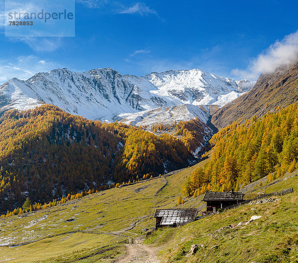 Trentino Südtirol  Europa  Berg  Landschaft  Hügel  Herbst  Italien  Schnee  Texel