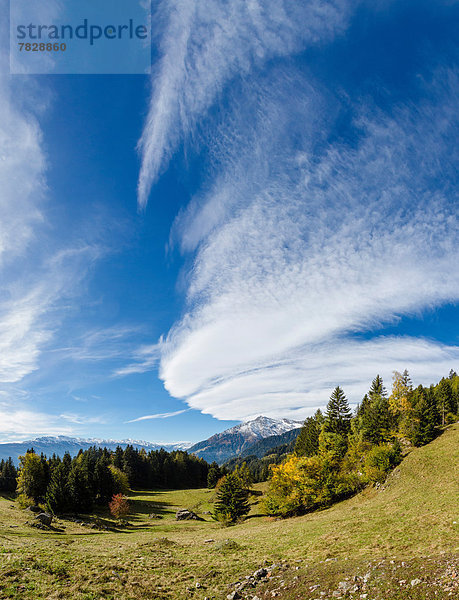 Trentino Südtirol  Europa  Berg  Baum  Landschaft  Hügel  Feld  Herbst  Wiese  Italien