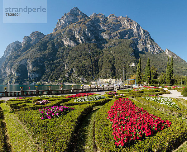 Europa  Berg  Blume  Landschaft  See  Herbst  Gardasee  Italien