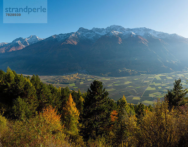 Trentino Südtirol Europa Berg Baum Landschaft Hügel Tal Wald Holz Herbst Italien