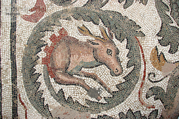 Ziege  Capra aegagrus hircus  Europa  Italien  Mosaik  Piazza Armerina  Sizilien
