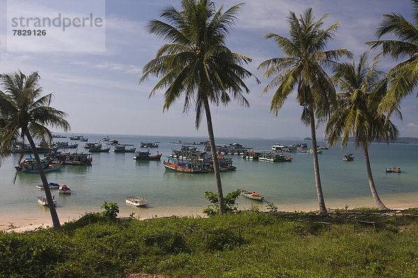 Strand  Küste  niemand  Meer  Insel  Sandstrand  Asien  Palmenstrand  Vietnam  vietnamesisch