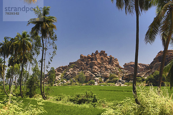 Stein  Landschaft  grün  Großstadt  Ruine  Feld  Reis  Reiskorn  rot  Hampi  Asien  Indien  Karnataka