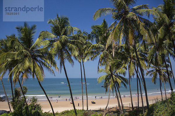 Palme  Strand  Reise  blau  Tourismus  Asien  Goa  Indien