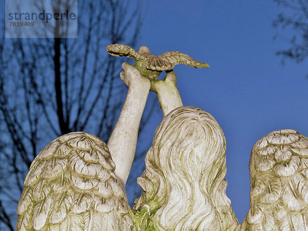 Ruhe  Symbol  Kummer  Wildtaube  Engel  Friedhof  Tod