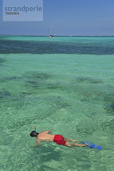 Hochformat  Tropisch  Tropen  subtropisch  Wasser  Mann  Schiff  Insel  Karibik  Schnorchel  Mittelamerika  Belize