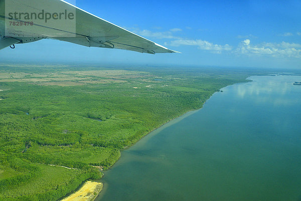 Tropisch  Tropen  subtropisch  Küste  Regenwald  Wald  Karibik  Mittelamerika  Fernsehantenne  Belize