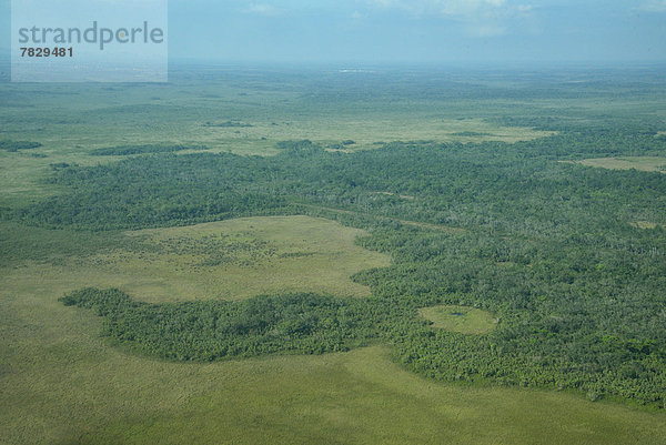 Tropisch  Tropen  subtropisch  Fluss  Karibik  Mittelamerika  Belize