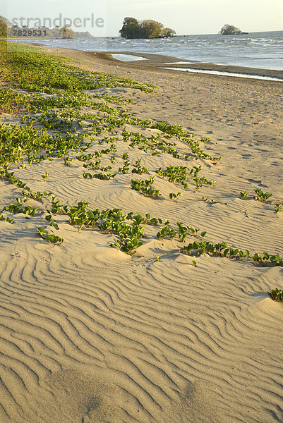 Strand  Natur  Sand  Insel  Düne  Mittelamerika  UNESCO-Welterbe  Nicaragua
