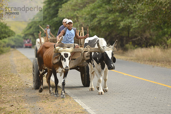Ländliches Motiv  ländliche Motive  Mensch  Menschen  Transport  Mittelamerika  UNESCO-Welterbe  Nicaragua
