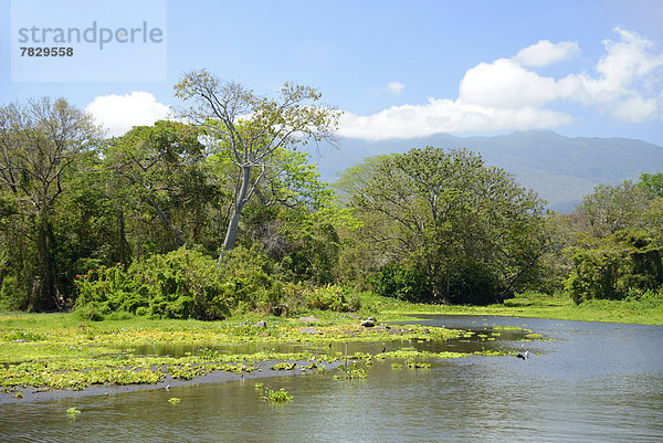 Wasser  See  Natur  Insel  Mittelamerika  Granada  Nicaragua