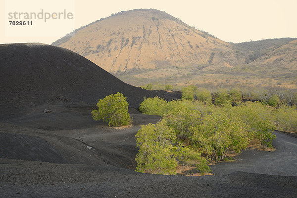 Botanik  Landschaft  Natur  Vulkan  Lava  Mittelamerika  Krater  Nicaragua